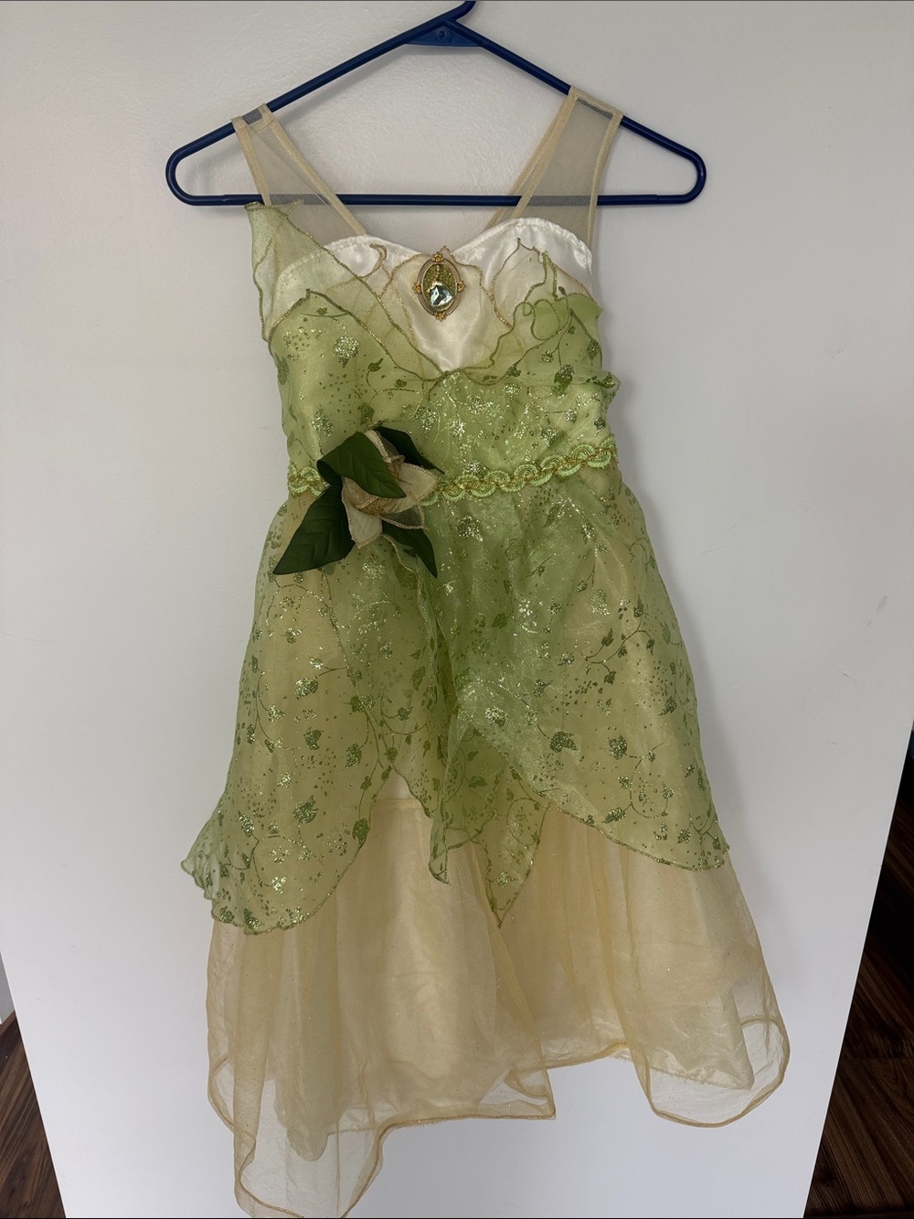 Disney Green and Cream princess Tiana Inspired Girls Costume Dress